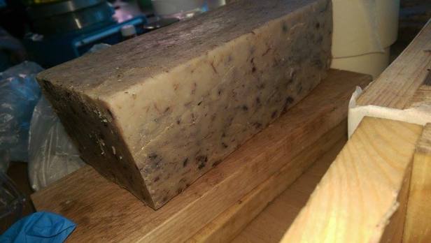 11117339_898620053492392_1775308938_n