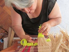 13335992_252390445141457_2144131836861626001_n